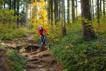 Dolenjske Toplice, Jošt Gantar